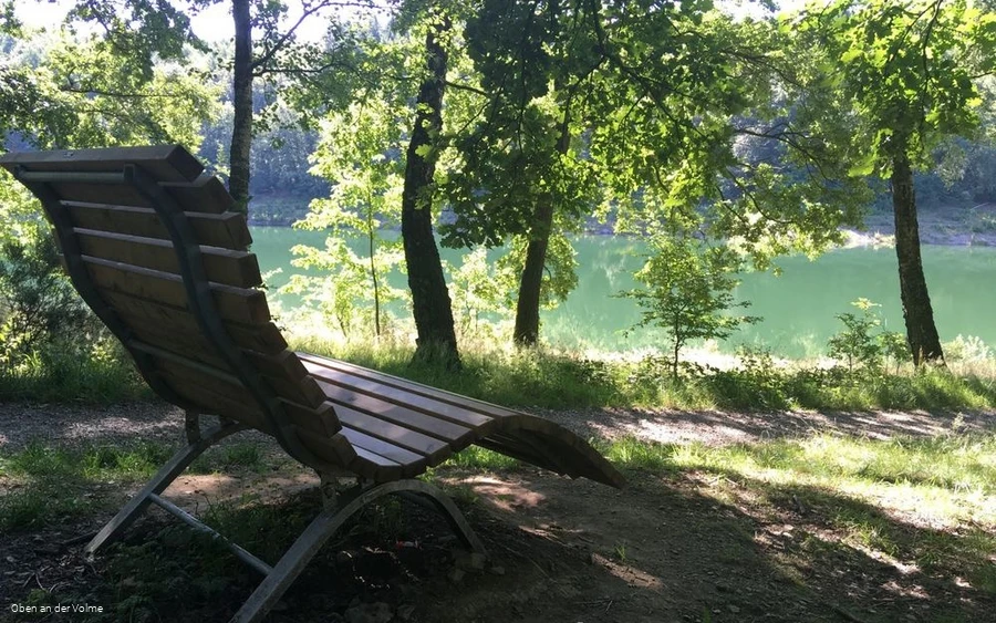 Waldsofa mit Ausblick