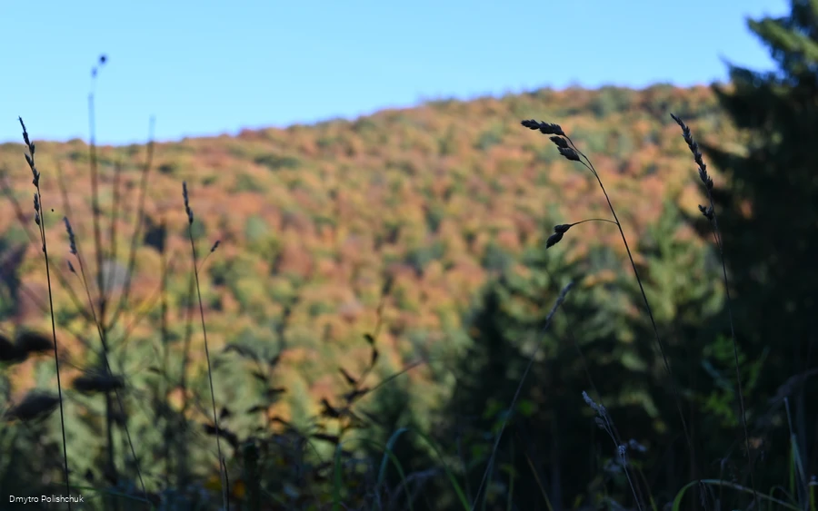 Ausblick auf dem Steinberg