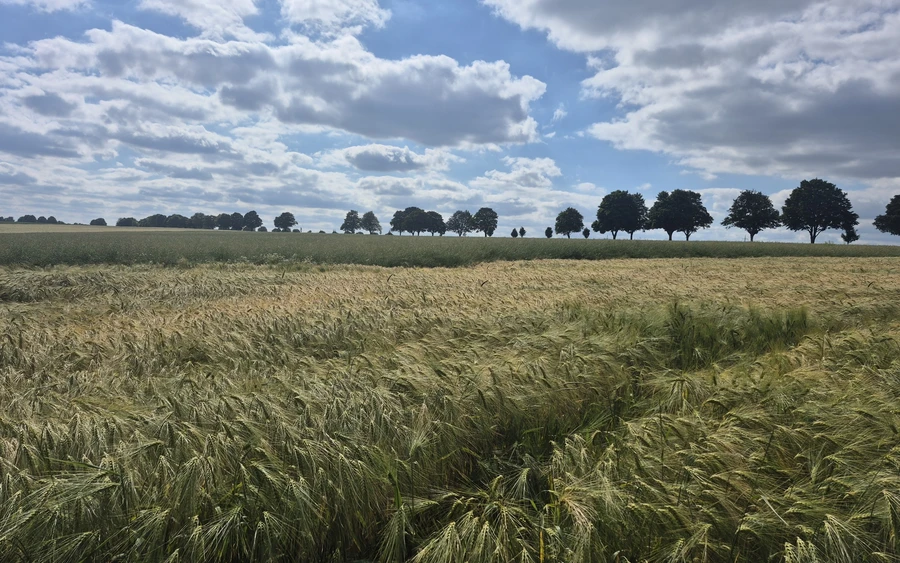 1750345027049.jpg 1750345027049.jpg