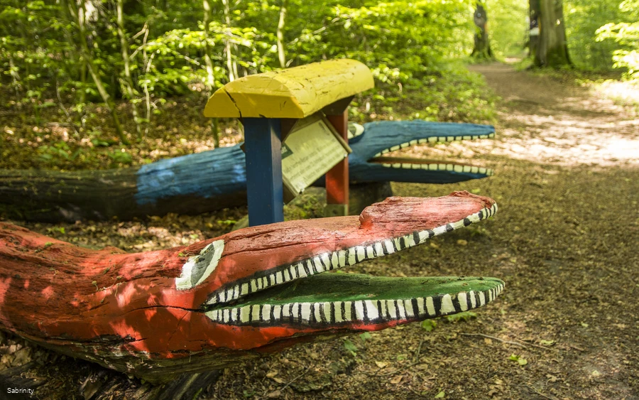 Naturerlebnis Wald Meerhof