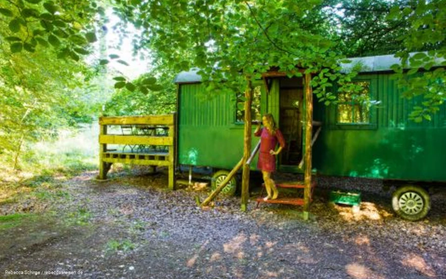 Travel blogger Rebecca Schirge in the Vosswinkel wild forest