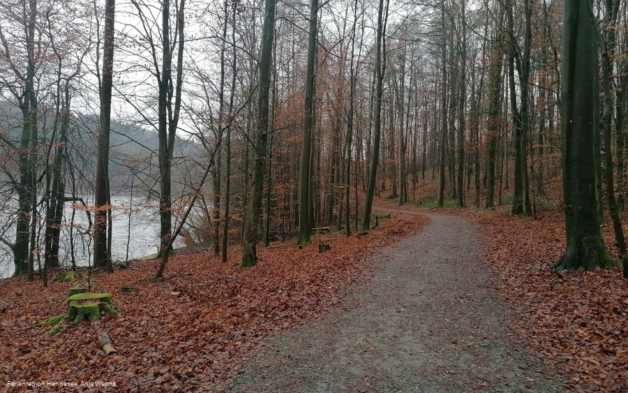 Wegbeschaffenheit Wogenweg am Hennesee