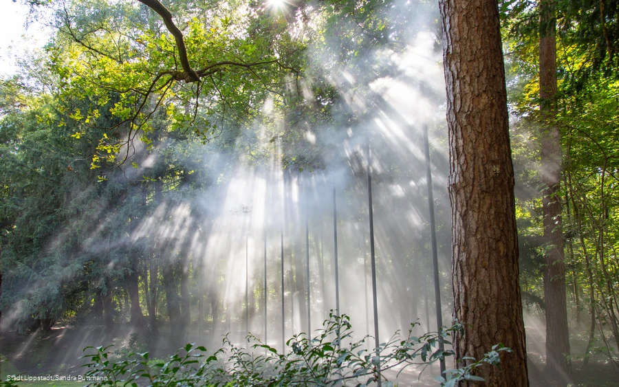 Nebelwald5©Stadt Lippstadt_Sandra Püttmann.jpg