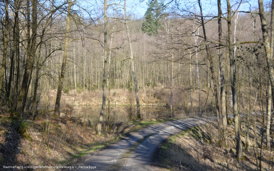 Bredelar, Naturschutzgebiet Forst Bredelar