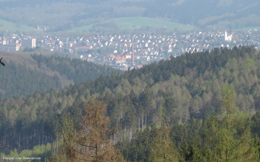 Blick auf Neustadt von Arnsberg