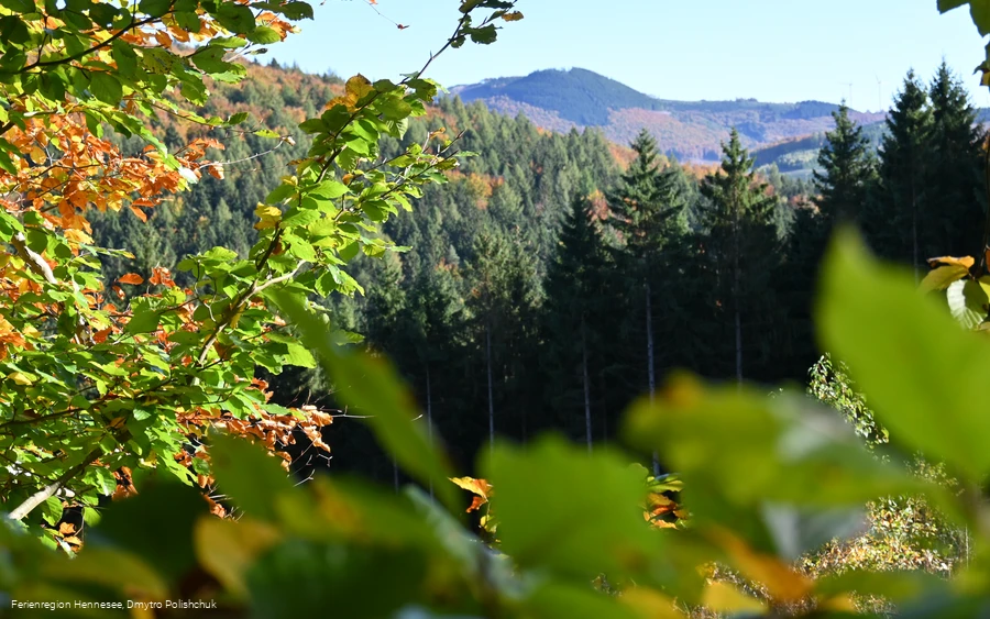 Ausblick aufs Elpetal