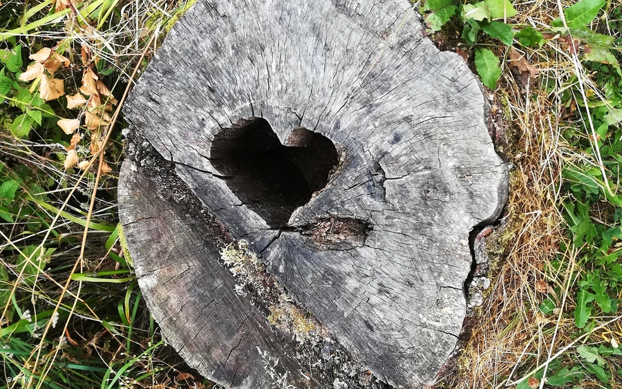 DA IMG_20180729_133254.jpg DA IMG_20180729_133254.jpg