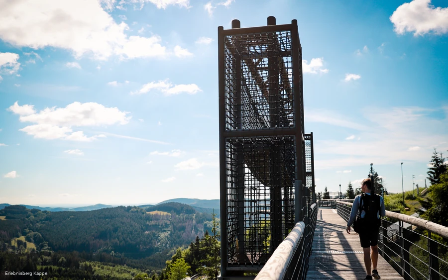 Ein Kletterelement auf der Panorama Erlebnisbrücke mit Wäldern, Bergen und blauem Himmel im Hintergrund.