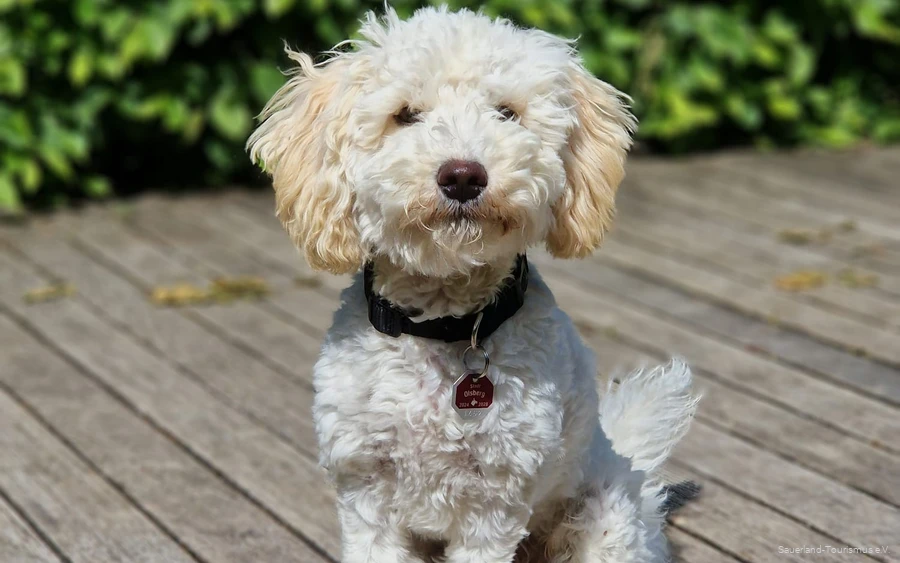 Ausflugsziele (Toffi)