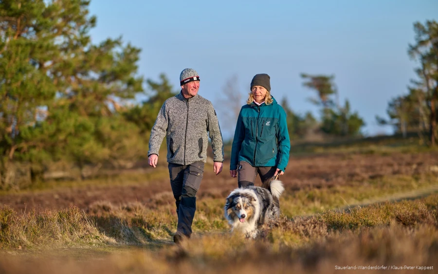 A couple is hiking with their dog across the Kahle Pön in winter. The winter sun is shining gently.