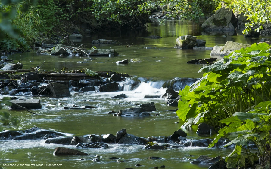 Die Orke bei Medelon