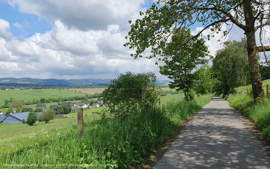 Wanderweg We1 bei Werpe