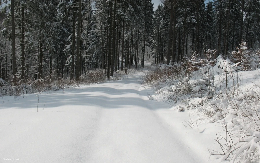 Skigebiet Hohe Bracht