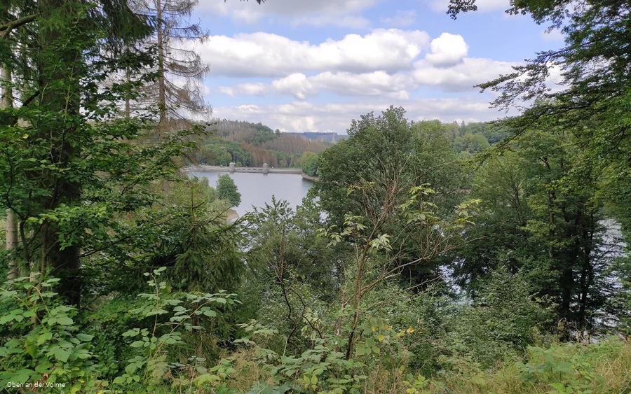 Blick von oben auf die idyllische Fürwiggetalsperre