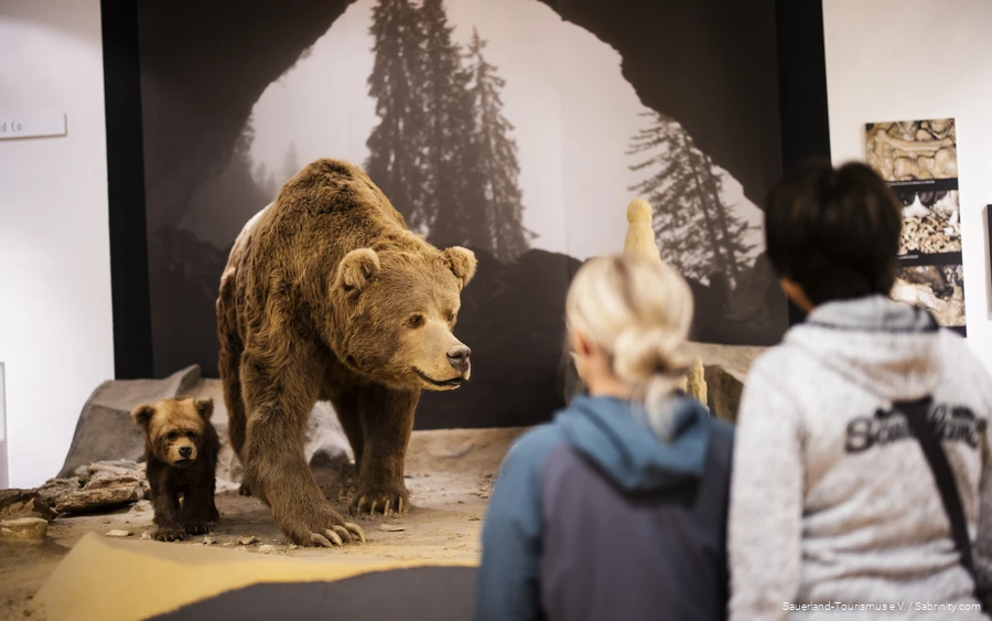 Dechenhöhle Cave Museum Two women look at two bears in the cave museum.