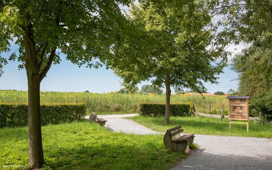 Naturschutzgebiet Woeste bei Bad Sassendorf