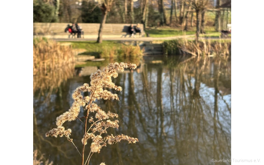 Kurpark Kurpark