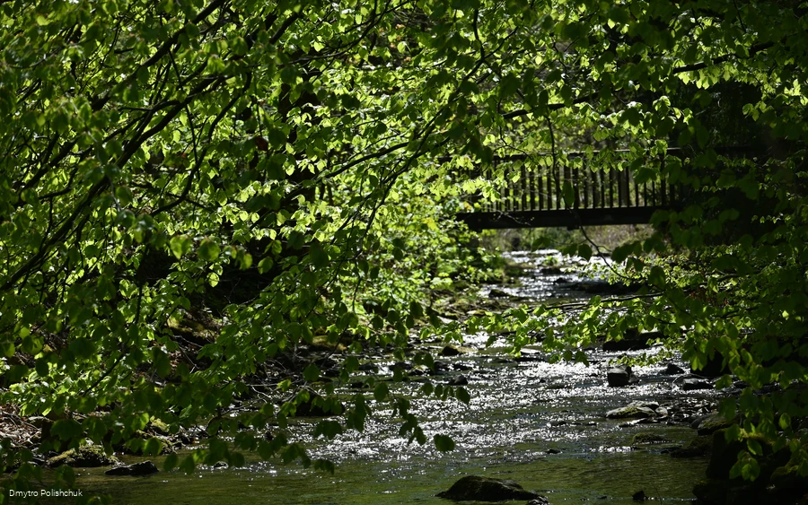 Elpebach in Ostwig