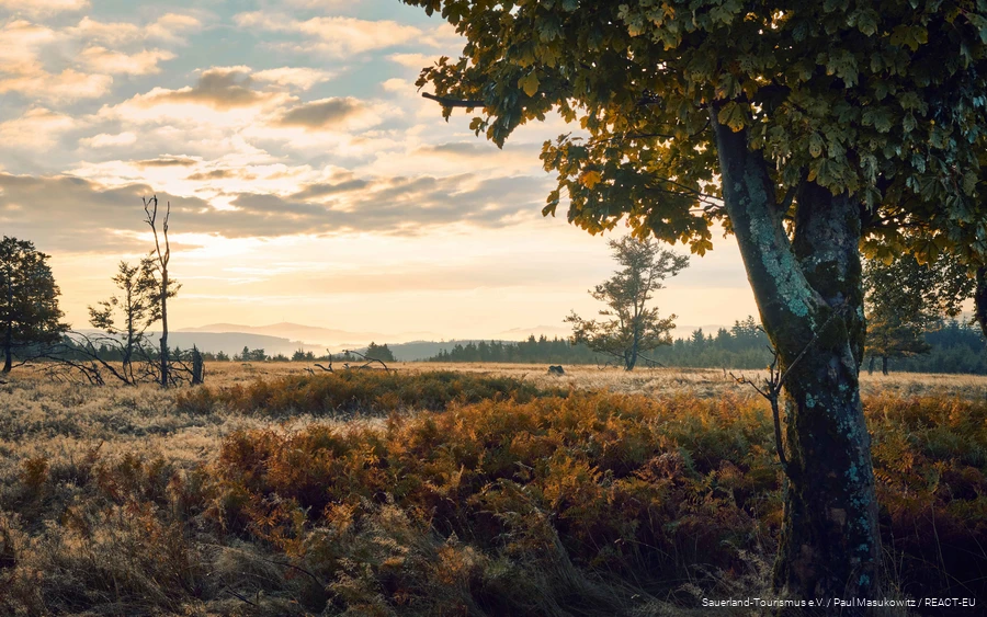 Blick über die herbstliche Landschaft des Kahlen Asten.