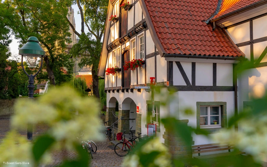 Pond mill-