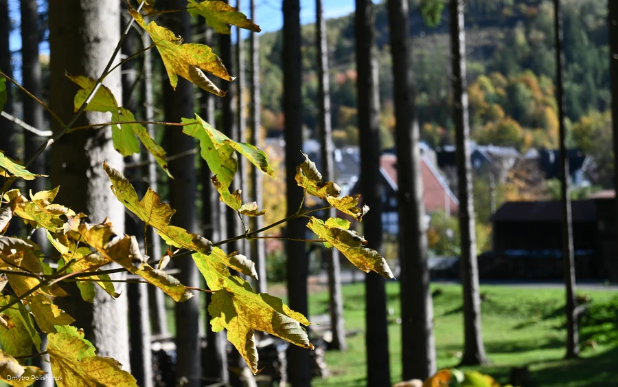 Ostwig - Ausblick auf den Ort