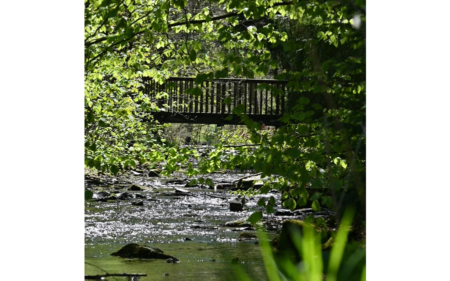 Elpebach in Ostwig