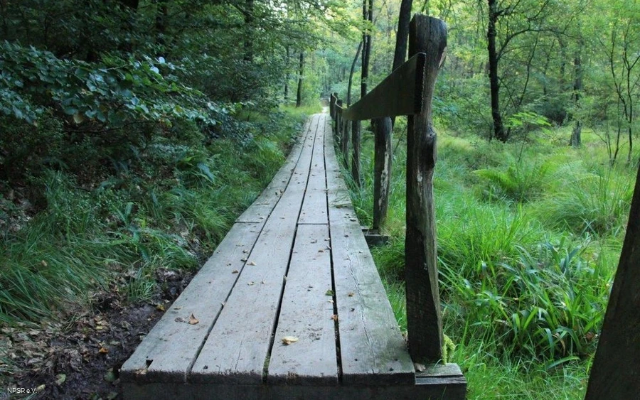 Knüppeldamm am Höhenflug Knüppeldamm am Höhenflug