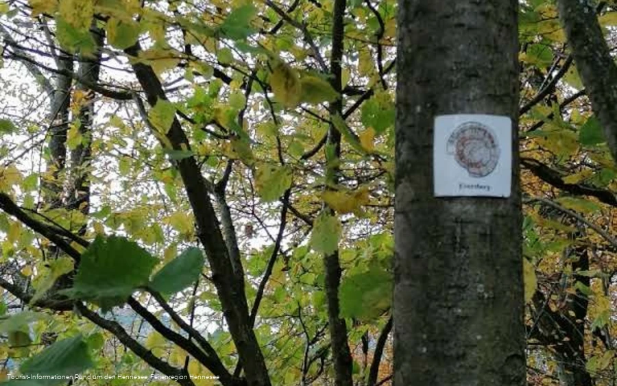 Logo WaldKulTour Grenzstädte