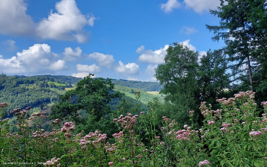 Blick über das Lennetal