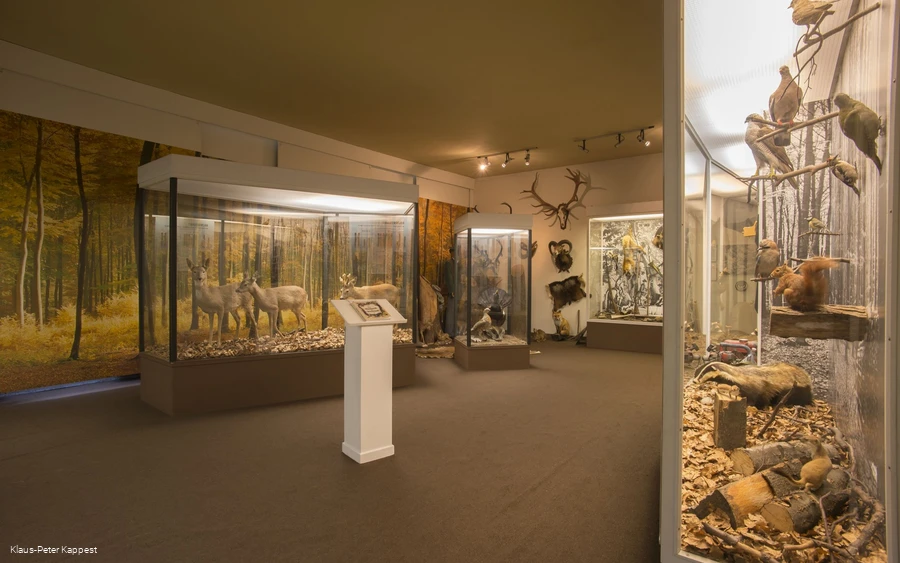 Blick ins Schieferbergbaumuseum in Holthausen