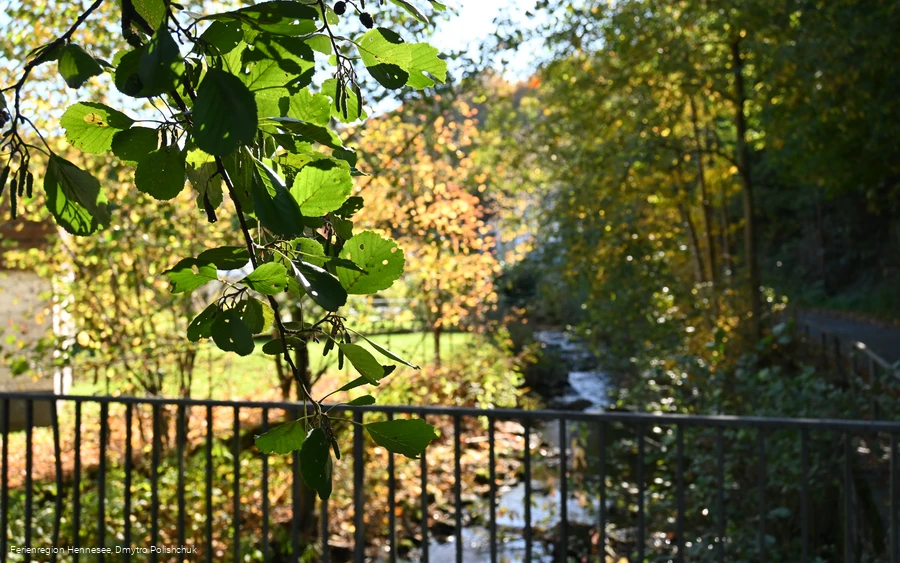 Elpebach in Ostwig