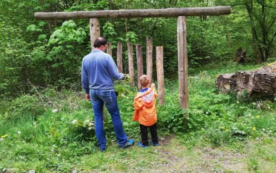 Sin forest xylophone