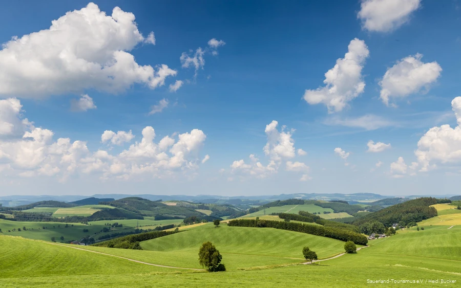 Uitzicht over het landschap van Sauerland bij Oberhenneborn in de lente.