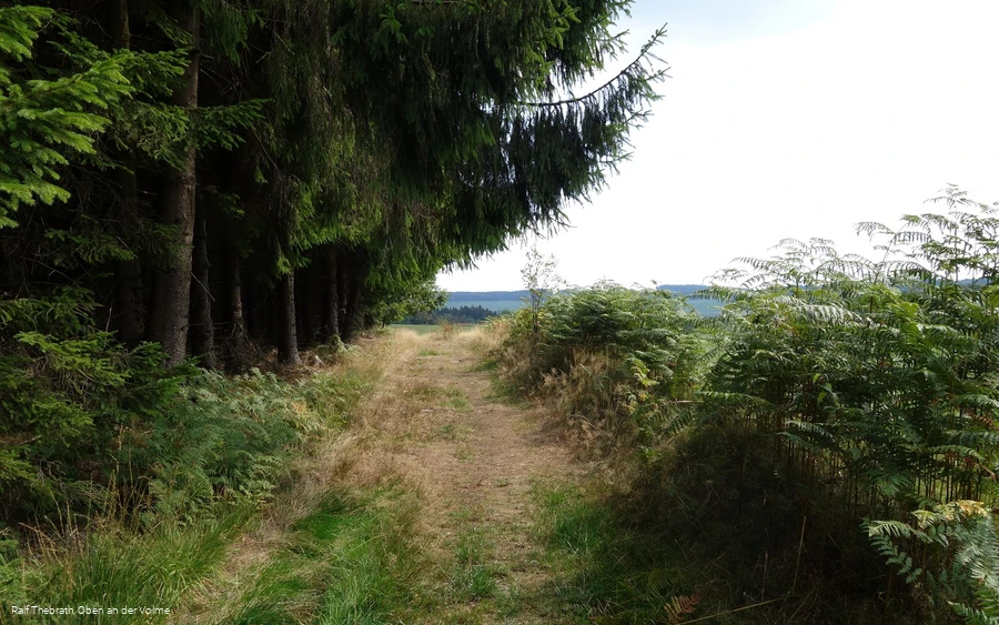 Wir verlassen die waldreichen Wegespassagen...