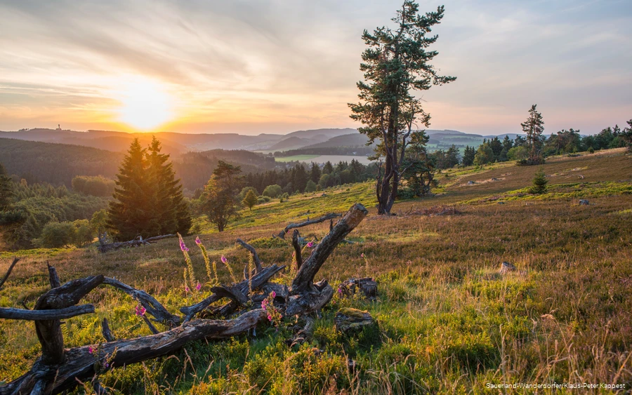 Kahle Pön en weids landschap bij zonsondergang.