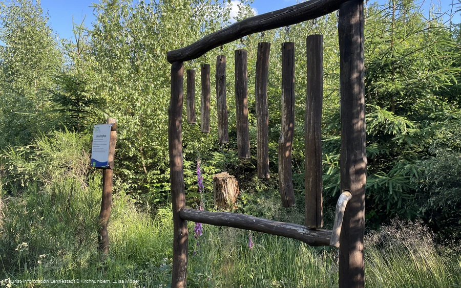 Dendrophon Walderlebnispfad©Tourist-Information Lennestadt & Kirchhundem.JPG
