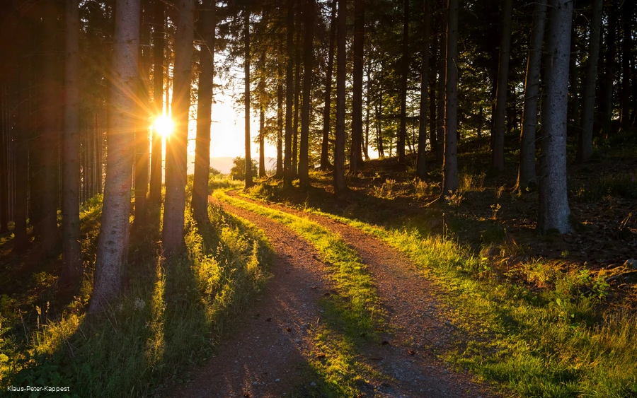 Wanderwege