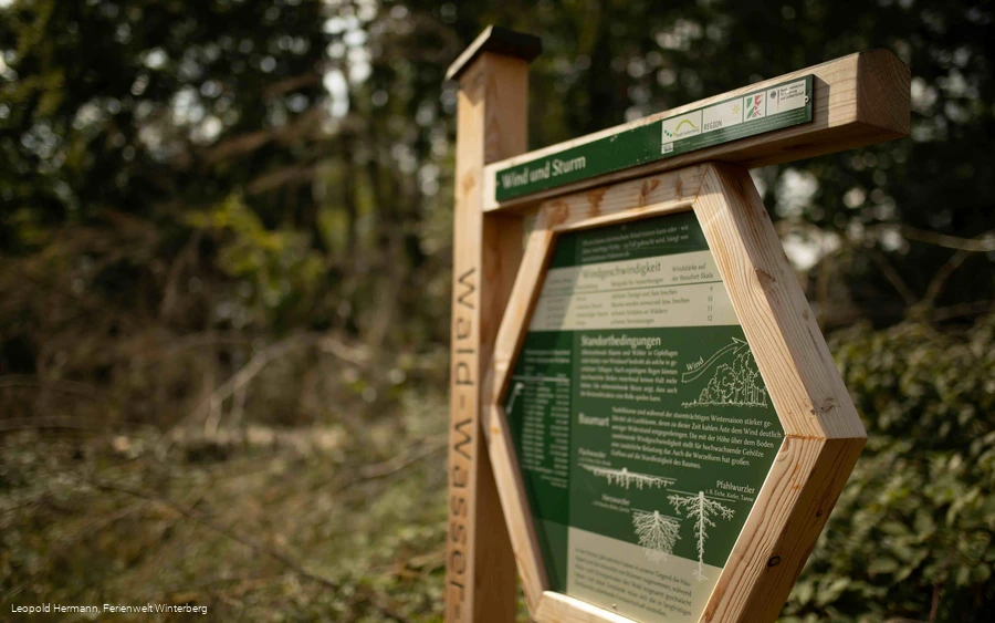 Wald-Wasser-Wandel-Weg