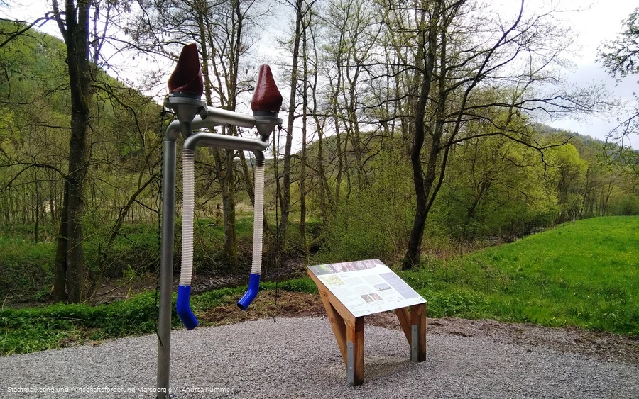 Bionik-Pfad - Hören