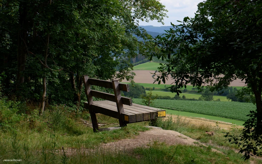 Riesen Bank bei Eversberg 1 © Jessica Rickert.jpg