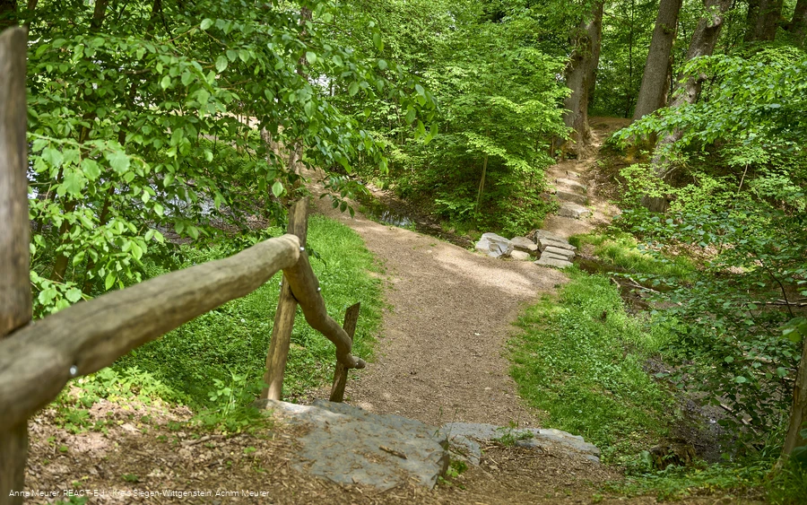 Parkanlage Wasserburg Hainchen, Netphen
