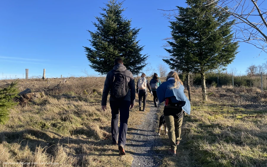 Wandergruppe auf der Sauerland-Waldroute Richtung Lörmecketurm