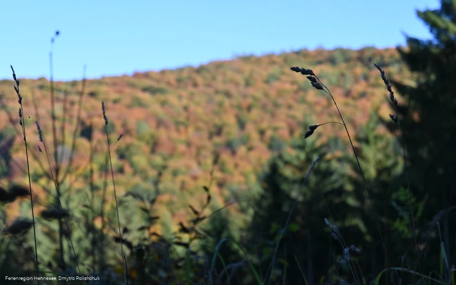 Ausblick auf dem Steinberg