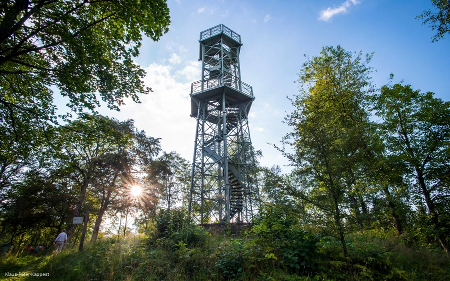Wilzenberg Tower