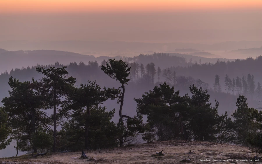 Uitzicht op het landschap vanaf de Osterkopf bij Willingen.