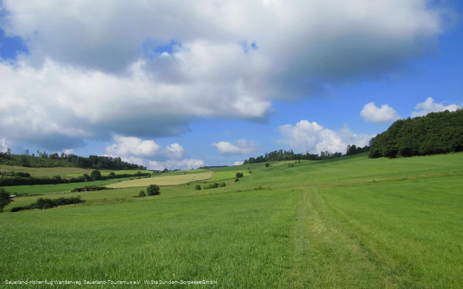 Wiesenweg am Ödenberg
