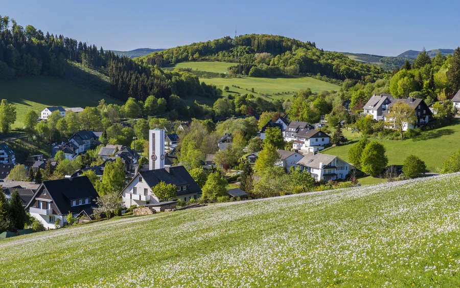 Eine Ansammlung von Häusern mit einer Kirche umgeben von Wäldern und Wiesen.