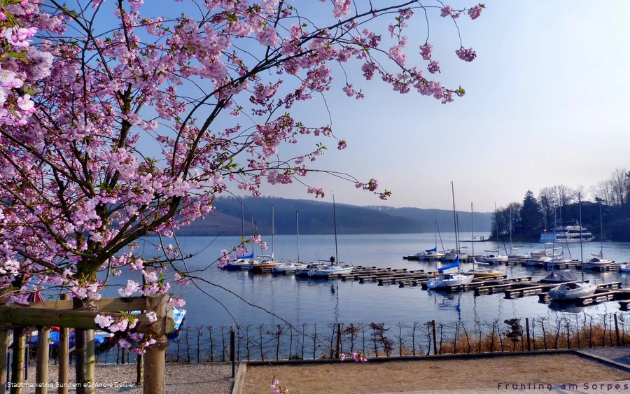 Sorpesee in de lente