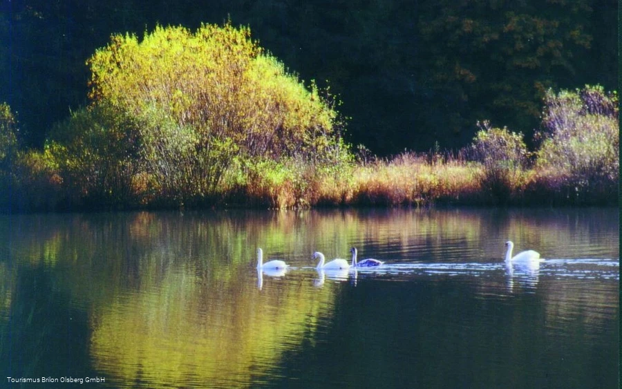 Stausee