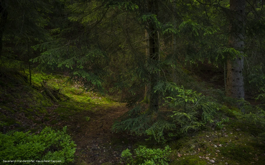 Sauerland-Seelenort Steinbruch am Schinkenkeller